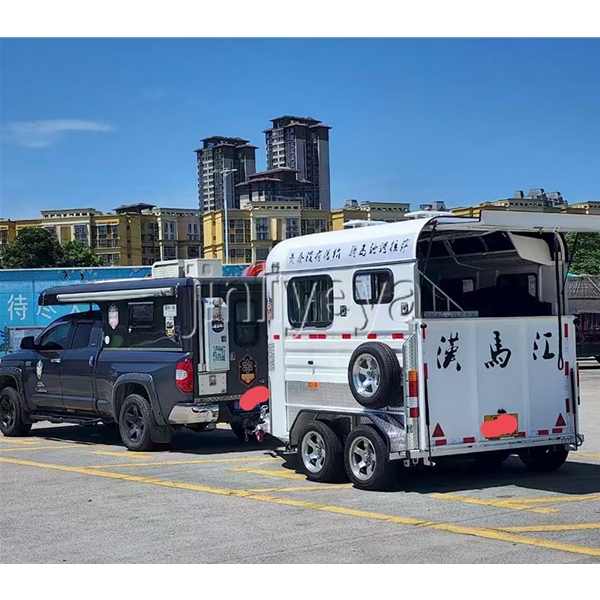 贵阳两马位马车